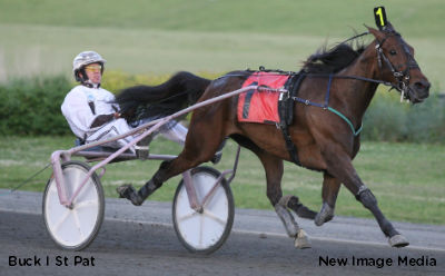 Buck I St Pat, Enough Talk Sweden-Bound