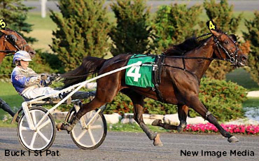 Buck I St Pat, Autumn Escapade In Armbro Flight Elims