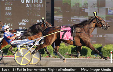 Trotting Mares Ready To Take 'Flight'