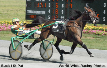 Buck I St Pat A Two-Time Maxie Lee Winner