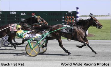 Buck I St Pat Beats The Boys At Chester 