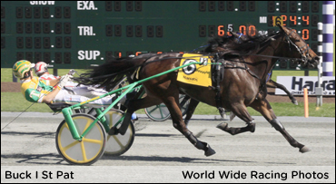 Buck I St Pat Doubles Up At Chester