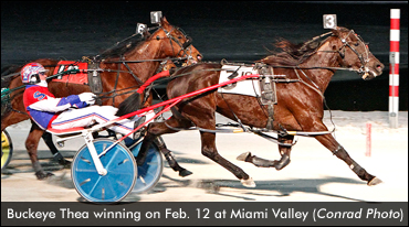 Buckeye Thea Bounces Back In Open