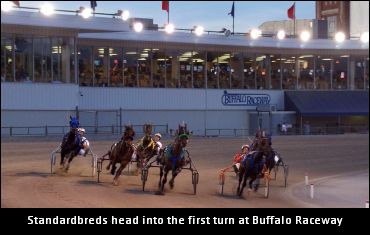 Juvenile NYSS Fillies To Buffalo