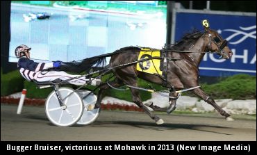 Bugger Bruiser Surfaces