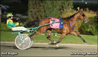 Red Bugler Revving Up