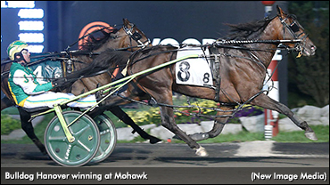 'Bulldog' Breaks Through In Gold