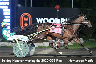 Bulldog Hanover Primed For Battle
