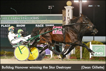 'Bulldog' Has The Heart Of A Champion