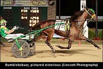 Manners Could Be The Key For Trotter