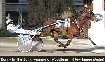 'Bunny' Tops Summer Sizzler Sale