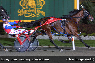 Woodbine Top Ten: #5
