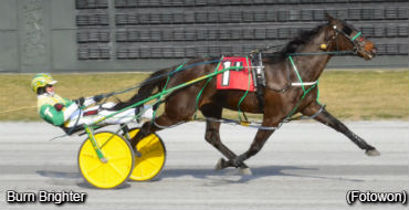 Tetrick, King Sweep Delaware Stakes