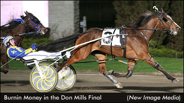 Trotters Smash WEG Series Records