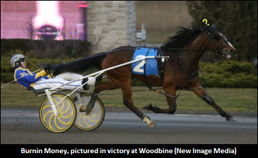 Auciello: 'I Know What My Horse Is Capable Of'