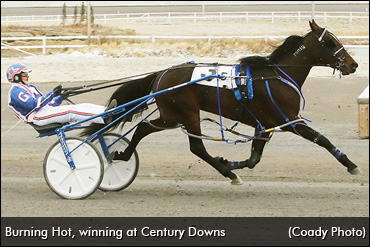 Burning Hot Like A Calgary Flame Burning Hot Like A Calgary Flame