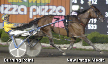 Burning Point’s First Foal Arrives