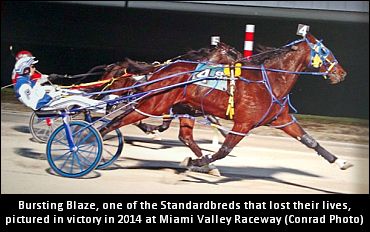 Barn Fire Claims Five Standardbreds