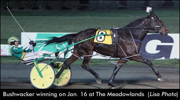 Bushwacker Triples At Meadowlands