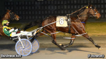 Bushwacker Doubles Up At Dover