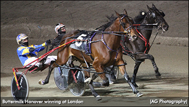 Buttermilk Hanover Holds On
