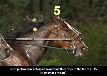 Buzz Zaps Foes At Flamboro