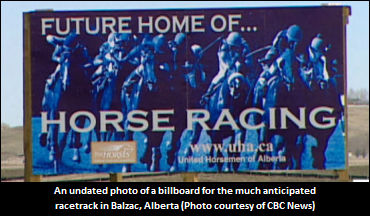 Update On Century Downs' Progress