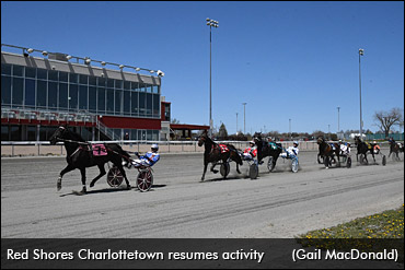 Canadian Harness Racing Returns