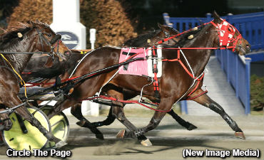 Circle The Page Repeats In Blizzard