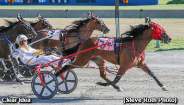 Stakes Wins For Ontario-Based Fillies