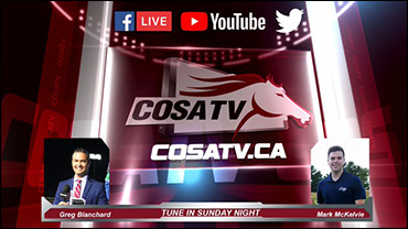 Shutdown, Reflection Centre On COSA TV