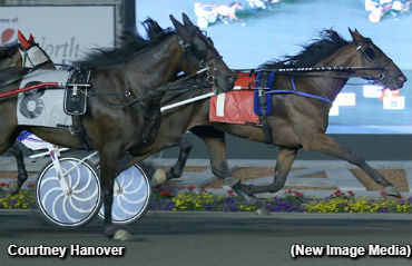 Pure Ivory To Courtney Hanover