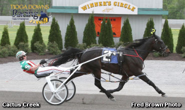 Record Equaled By Cactus Creek