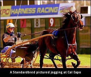 Open Paces On Tap At Cal Expo