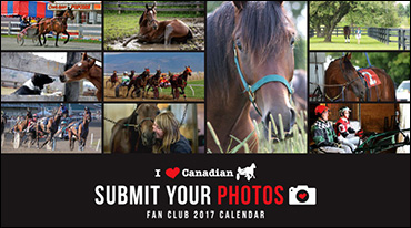 Submit Photos For 2017 Calendar