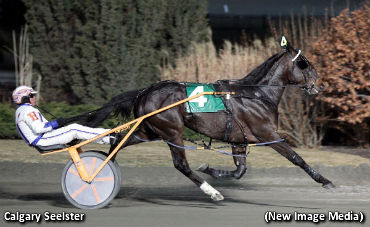 Calgary Seelster Wins Apaches Fame