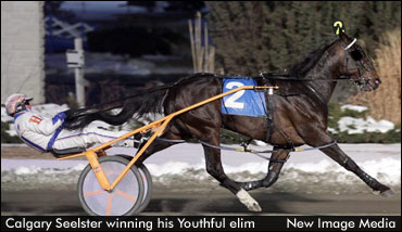 Another Stakes Title For Calgary Seelster