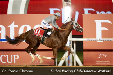 California Chrome Wins Dubai World Cup