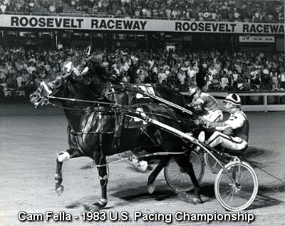 Cam Fella Series Underway 