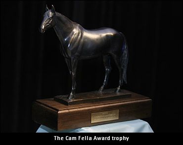 No Cam Fella Winner For 2017