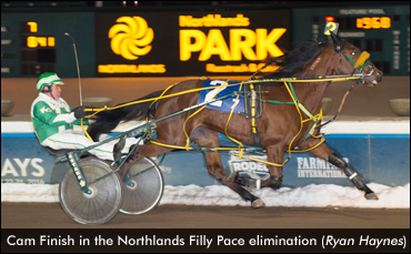 Field Set For Northlands Filly Pace