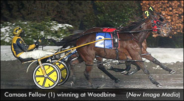 Camaes Fellow Wins Woodbine Preferred