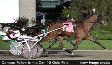 Sophomores Pull Off Gold Upsets 