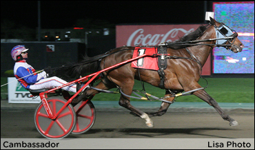 Cambassador Ready For Combat