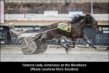 Another Win For Camera Lady