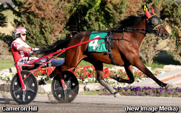 Rookie Trotters Impress At Mohawk