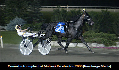 Croghan Fined, Suspended