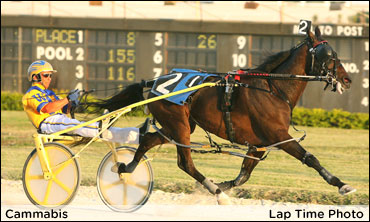 Cammabis Now Meet's Fastest At Pompano