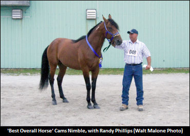 Cams Nimble Tops At SJHHA Horse Show