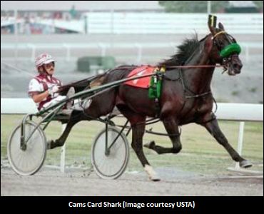 Cams Card Shark Passes